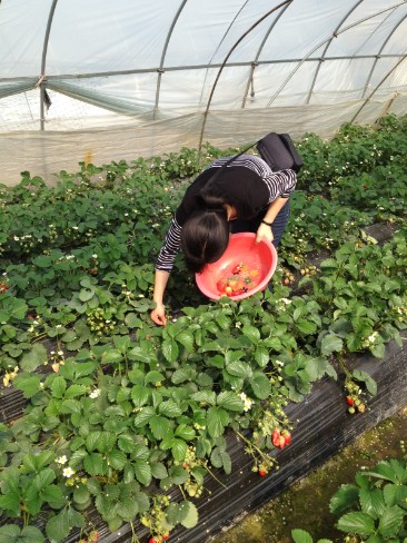 圖片關(guān)鍵詞