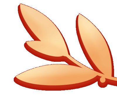 圖片關(guān)鍵詞