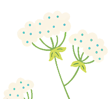 1689749523135859.gif 01.gif