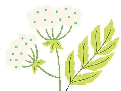 1689749632277770.gif 0.gif